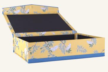 Preview: Box "Haruhi"